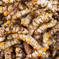 Turmeric Root